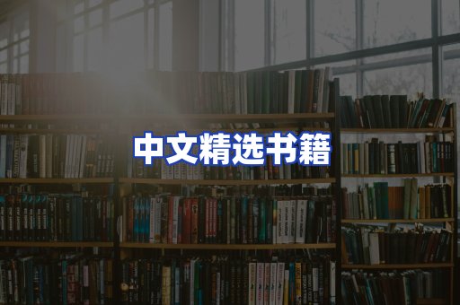中文精选书籍
